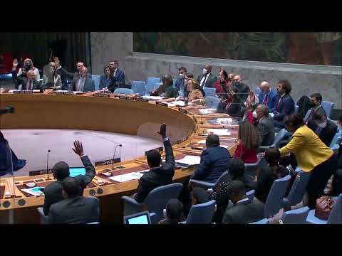UN Security Council authorizes one-year mandate extension of UNAMI