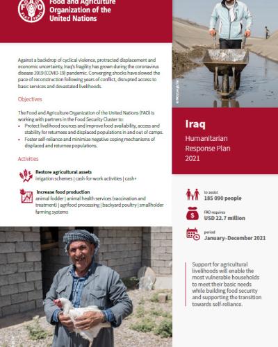 Iraq Humanitarian Response Plan 2021