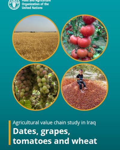 Agricultural value chain study in Iraq Dates, grapes, tomatoes and wheat