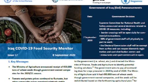 Iraq COVID-19 Food Security Monitor